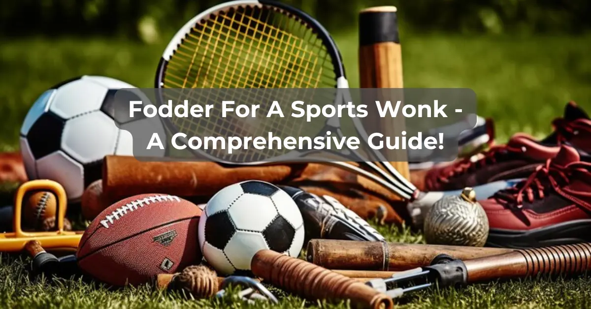 Fodder For A Sports Wonk - A Comprehensive Guide!