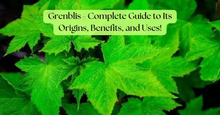 Grenblis - Complete Guide to Its Origins, Benefits, and Uses!